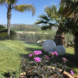 Il Colle Del Rustico Bed & Breakfast